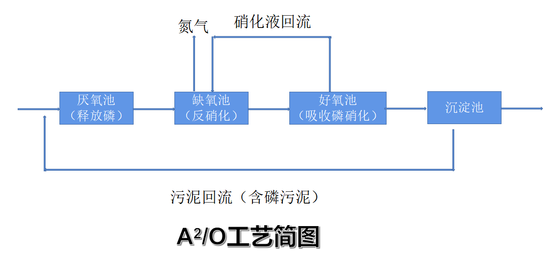 食品污水處理工藝生物法除磷