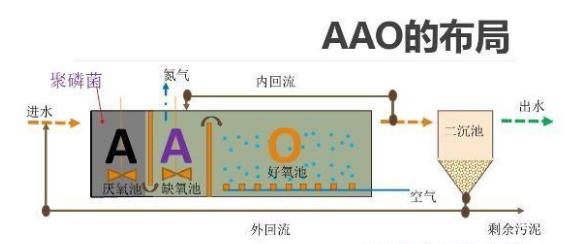 AAO工藝和倒置AAO工藝的區(qū)別是什么